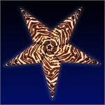 Zebra Star Light