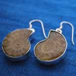 wholesale ammonite earrings
