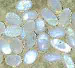 wholesale silver jewelry picture